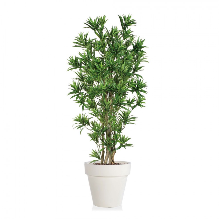 Planta semi-artificiala Ila, Dracaena Reflexa Boschetto Green - 180 cm